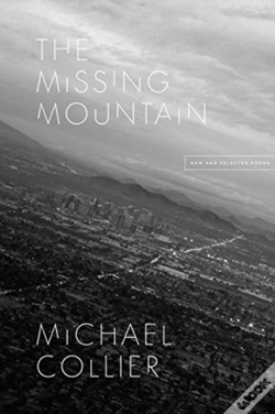 Capa do artigo The Missing Mountain
