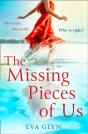 The Missing Pieces Of Us - Preview