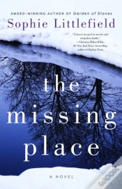 Capa do artigo The Missing Place