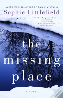 Capa do artigo The Missing Place
