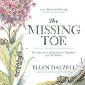 The Missing Toe