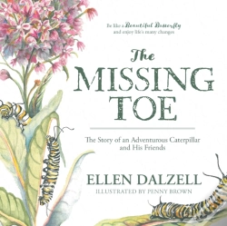 Capa do artigo The Missing Toe