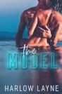 The Model - Preview