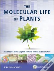 The Molecular Life Of Plants