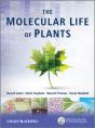The Molecular Life Of Plants - Preview