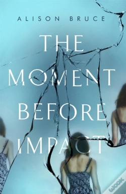 Capa do artigo The Moment Before Impact