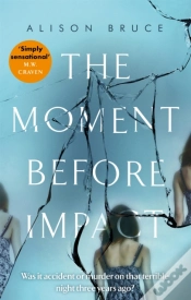 Capa do artigo The Moment Before Impact