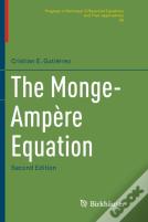 The Monge-Ampere Equation