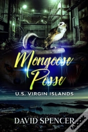 Capa do artigo The Mongoose Posse