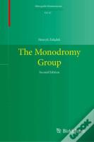 The Monodromy Group