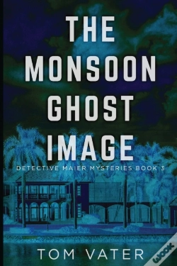 Capa do artigo The Monsoon Ghost Image