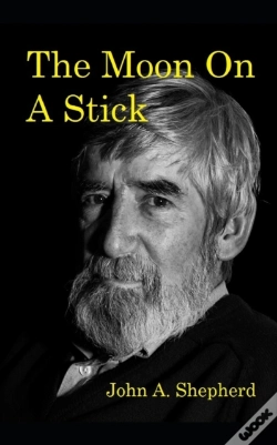Capa do artigo The Moon On A Stick
