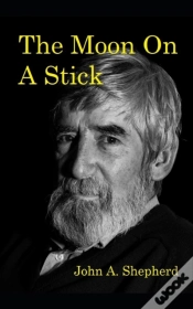 Capa do artigo The Moon On A Stick