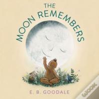 The Moon Remembers