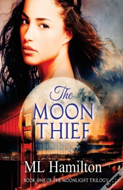 Capa do artigo The Moon Thief