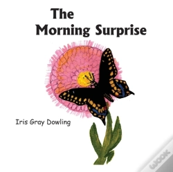 Capa do artigo The Morning Surprise