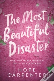 Capa do artigo The Most Beautiful Disaster