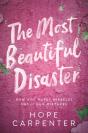 The Most Beautiful Disaster - Preview