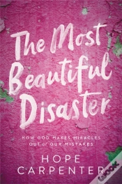 Capa do artigo The Most Beautiful Disaster