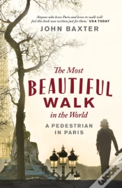 Capa do artigo The Most Beautiful Walk In The World