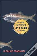 The Most Important Fish In The Sea
