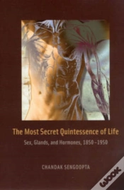 Capa do artigo The Most Secret Quintessence Of Life