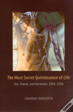 Capa do artigo The Most Secret Quintessence Of Life
