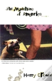 Capa do artigo The Mulching Of America