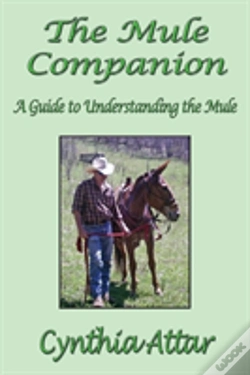 Capa do artigo The Mule Companion: A Guide To Understan