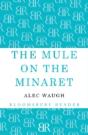 The Mule On The Minaret - Preview