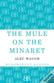 Capa do artigo The Mule On The Minaret