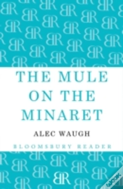 Capa do artigo The Mule On The Minaret