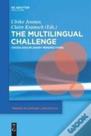The Multilingual Challenge