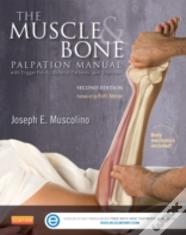 The Muscle And Bone Palpation Manual With Trigger Points, Referral Patterns And Stretching