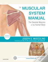 The Muscular System Manual