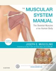 The Muscular System Manual