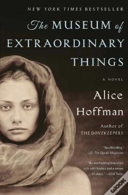 Capa do artigo The Museum Of Extraordinary Things