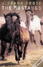 Capa do artigo The Mustangs