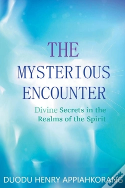Capa do artigo The Mysterious Encounter