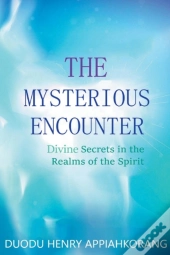 The Mysterious Encounter