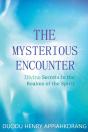 The Mysterious Encounter - Preview