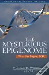 The Mysterious Epigenome