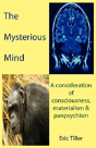 The Mysterious Mind - Preview