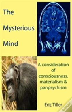 Capa do artigo The Mysterious Mind
