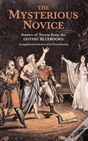 Capa do artigo The Mysterious Novice