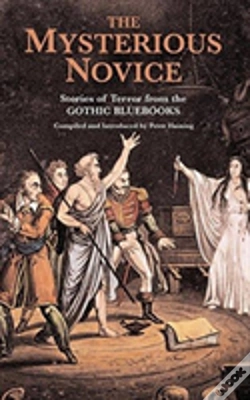 Capa do artigo The Mysterious Novice