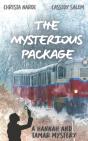 The Mysterious Package - Preview