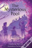 The Mysterious Pool