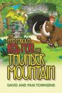The Mysterious Red Fog On Thunder Mountain - Preview