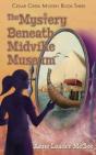 The Mystery Beneath Midville Museum - Preview